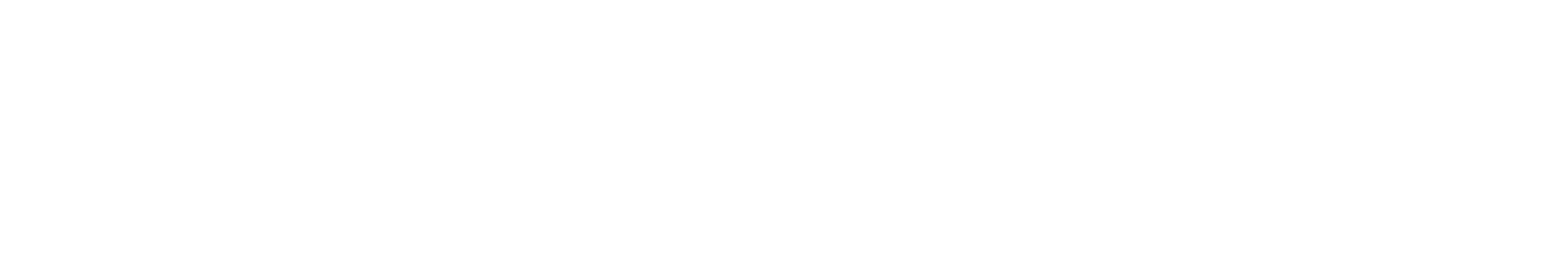 The Store Logo